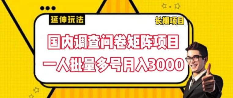 国内调查问卷矩阵项目，一人批量多号月入3000【揭秘】-皮皮网创