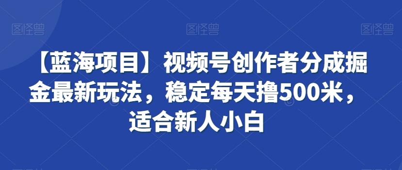 【蓝海项目】视频号创作者分成掘金最新玩法，稳定每天撸500米，适合新人小白【揭秘】-皮皮网创