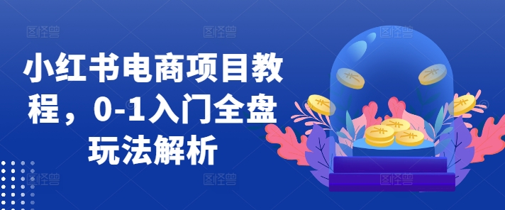 小红书电商项目教程，0-1入门全盘玩法解析-皮皮网创