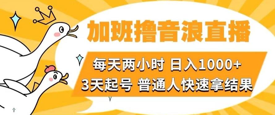 加班撸音浪直播，每天两小时，日入1000+，直播话术才3句，3天起号，普通人快速拿结果【揭秘】-皮皮网创