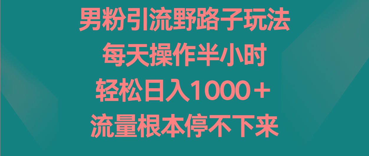 男粉引流野路子玩法，每天操作半小时轻松日入1000＋，流量根本停不下来-皮皮网创