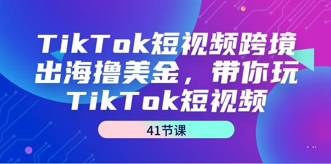 TikTok短视频跨境出海撸美金，带你玩TikTok短视频(41节课)-皮皮网创