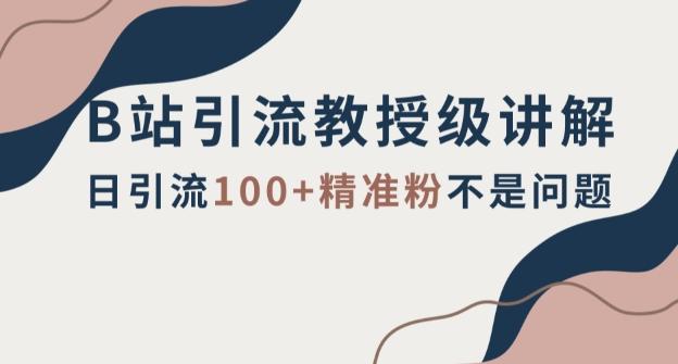 B站引流教授级讲解，细节满满，日引流100+精准粉不是问题【揭秘】-皮皮网创