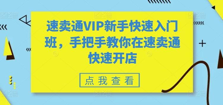 速卖通VIP新手快速入门班，手把手教你在速卖通快速开店-皮皮网创
