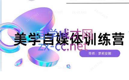 安娜·美学自媒体IP系统课-皮皮网创