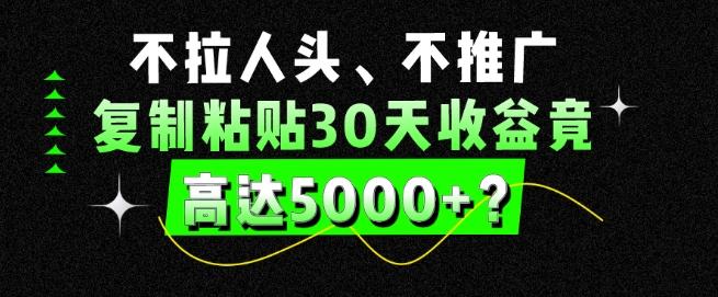 不拉人头、不推广，复制粘贴30天收益竟高达5000+？-皮皮网创