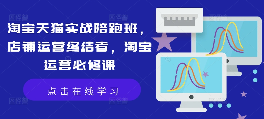 淘宝天猫实战陪跑班，店铺运营终结者，淘宝运营必修课-皮皮网创