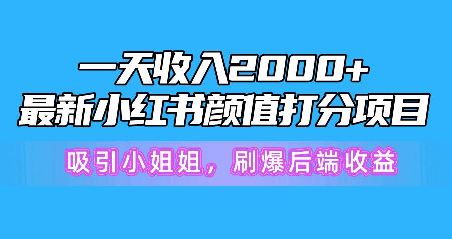 一天收入2000+，最新小红书颜值打分项目，吸引小姐姐，刷爆后端收益-皮皮网创