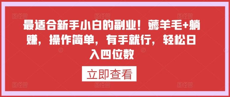 最适合新手小白的副业！薅羊毛+躺赚，操作简单，有手就行，轻松日入四位数【揭秘】-皮皮网创