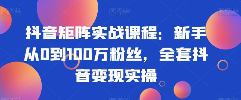 抖音矩阵实战课程：新手从0到100万粉丝，全套抖音变现实操-皮皮网创