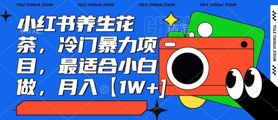 小红书养生花茶，冷门暴力项目，最适合小白做，月入【1W+】-皮皮网创