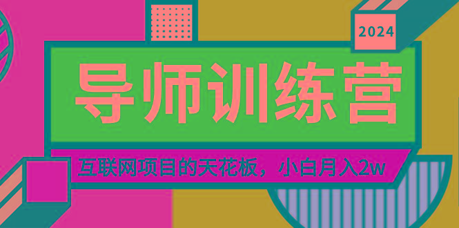 《导师训练营》精准粉丝引流的天花板，小白月入2w-皮皮网创