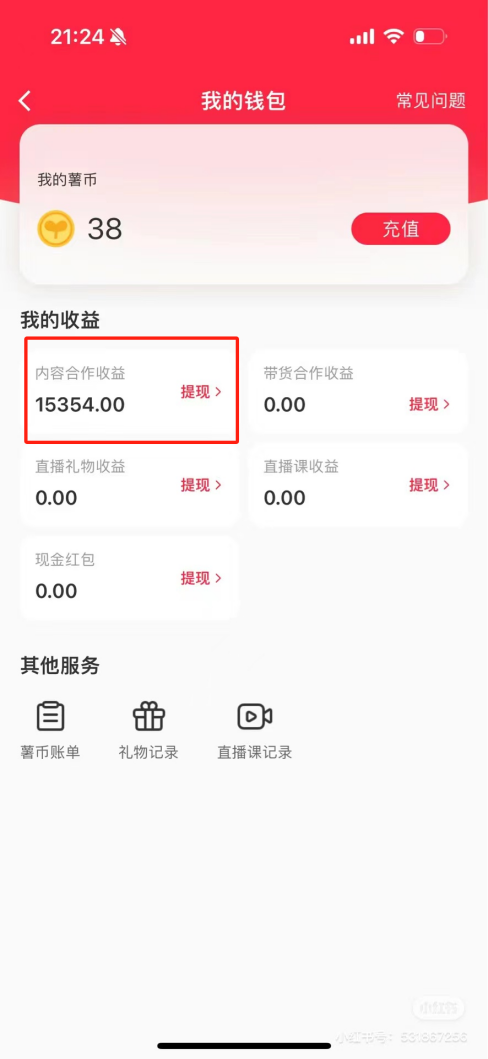 热门评论引爆小红书流量，作品制作简单，广告接到手软，月入过万不是梦-皮皮网创
