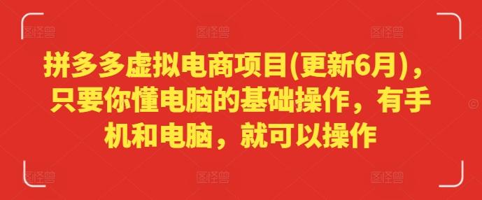 拼多多虚拟电商项目(更新6月)，只要你懂电脑的基础操作，有手机和电脑，就可以操作-皮皮网创