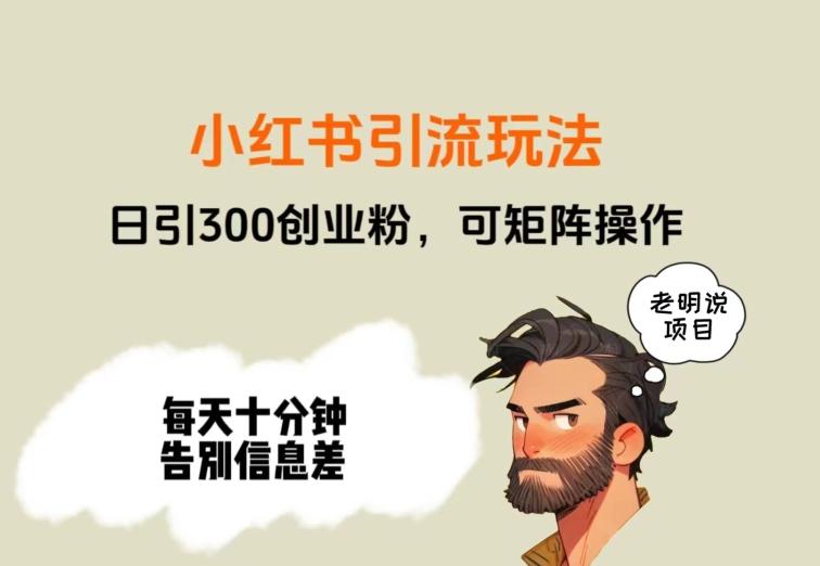 靠小红书视频日印300粉，两分钟一个视频轻松矩阵-皮皮网创