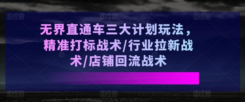 无界直通车三大计划玩法，精准打标战术/行业拉新战术/店铺回流战术-皮皮网创