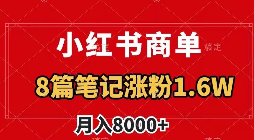小红书商单最新玩法，8篇笔记涨粉1.6w，作品制作简单，月入8000+【揭秘】-皮皮网创
