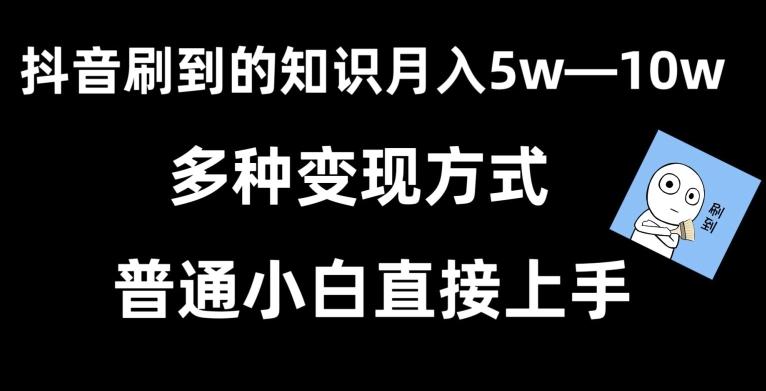 抖音刷到的知识，每天只需2小时，日入2000+，暴力变现，普通小白直接上手【揭秘】-皮皮网创