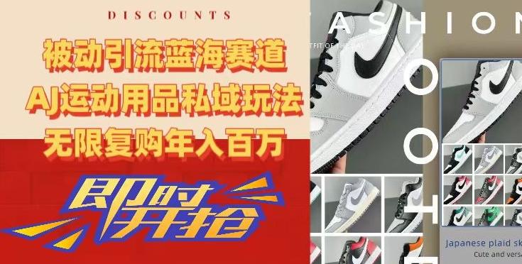 被动引流蓝海赛道，AJ运动用品私域玩法，无限复购年入百万【揭秘】-皮皮网创