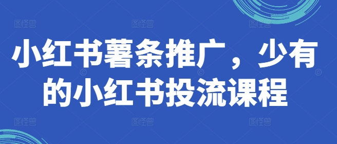 小红书薯条推广，少有的小红书投流课程-皮皮网创