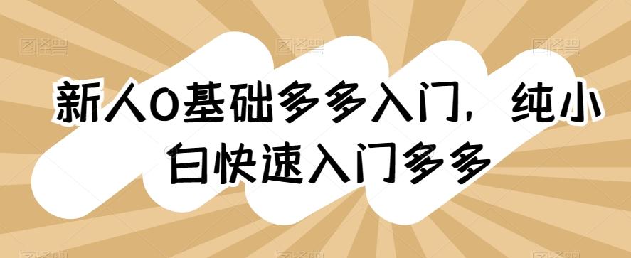 新人0基础多多入门，​纯小白快速入门多多-皮皮网创