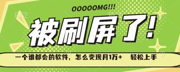 一个谁都会的软件，怎么变现月1万+轻松上手-皮皮网创