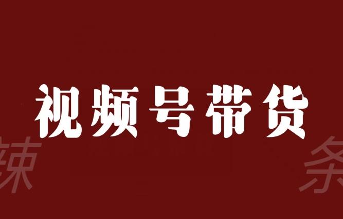 视频号带货联盟，赚信息差的带货钱，只需手机随时随地都可以做！-皮皮网创