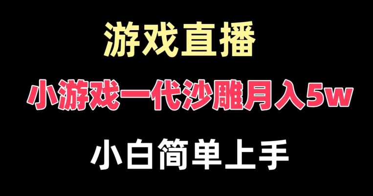 玩小游戏一代沙雕月入5w，爆裂变现，快速拿结果，高级保姆式教学【揭秘】-皮皮网创
