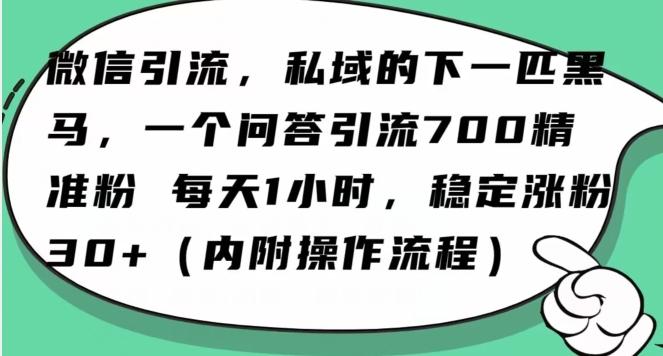 怎么搞精准创业粉？微信新赛道，每天一小时，利用Ai一个问答日引100精准粉-皮皮网创