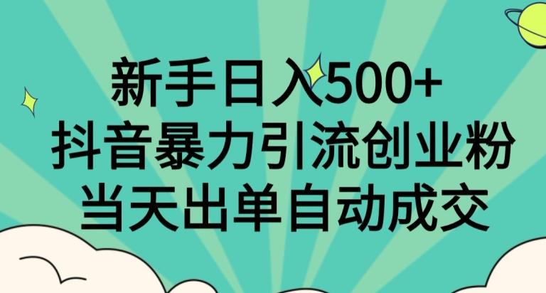新手日入500+,抖音暴力引流创业粉,当天出单自动成交-皮皮网创