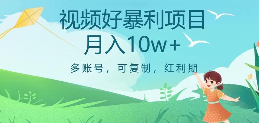 视频号暴利项目，多账号，可复制，红利期，月入10w+【揭秘】-皮皮网创