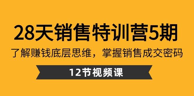 28天销售特训营5期：了解赚钱底层思维，掌握销售成交密码（12节课）-皮皮网创