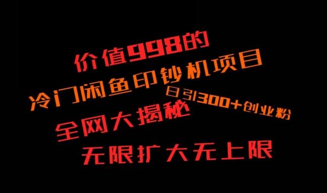 闲鱼流量印钞机项目大揭秘，日引300+创业粉，保姆级实操教程-皮皮网创