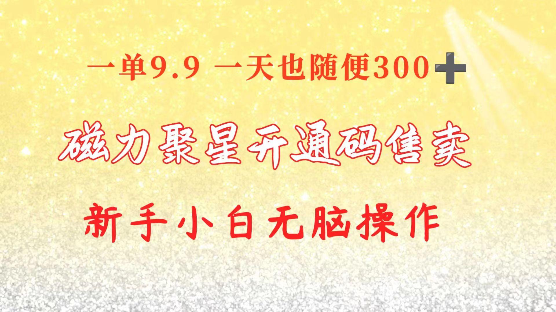 快手磁力聚星码信息差 售卖  一单卖9.9  一天也轻松300+ 新手小白无脑操作-皮皮网创