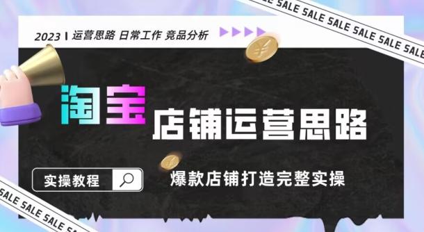 2023淘宝店铺运营全攻略：竞品分析，打造爆款店铺完整实操（附运营思维素材）-皮皮网创