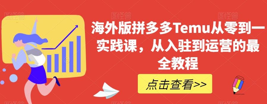 海外版拼多多Temu从零到一实践课，从入驻到运营的最全教程-皮皮网创