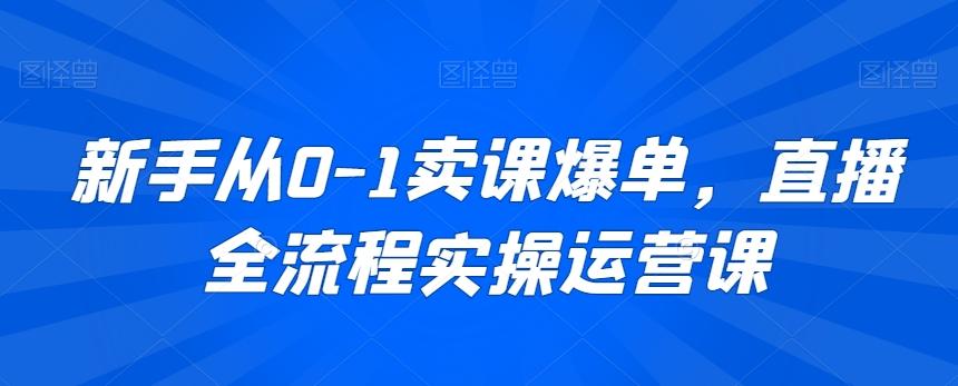 新手从0-1卖课爆单，直播全流程实操运营课-皮皮网创