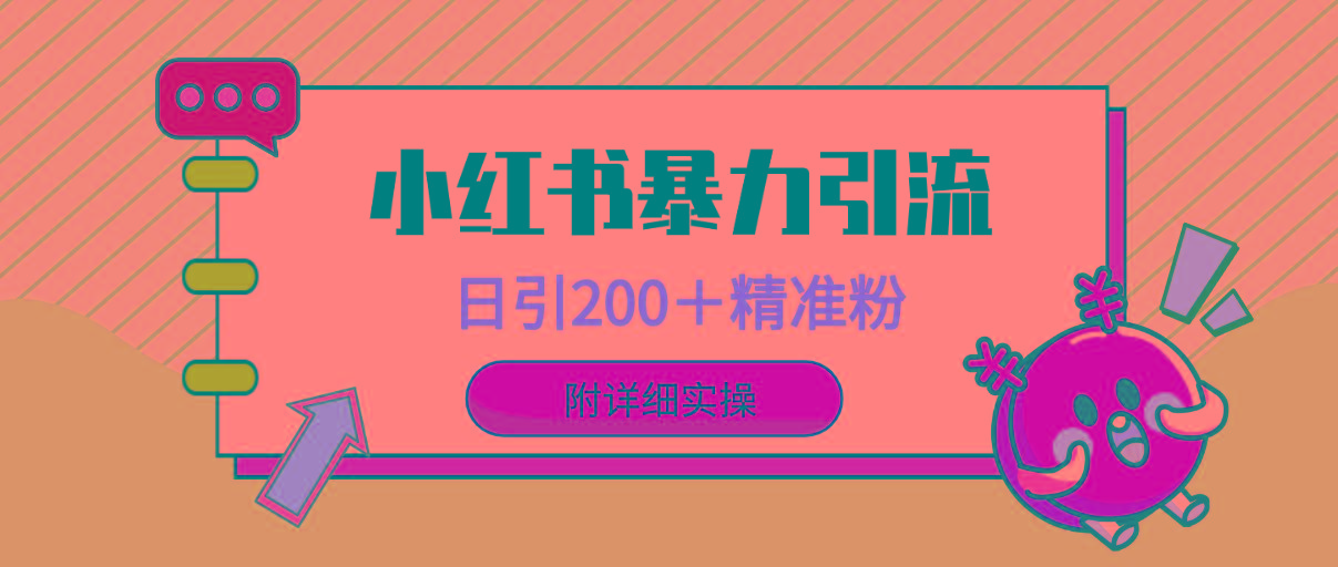 (9582期)小红书暴力引流大法，日引200＋精准粉，一键触达上万人，附详细实操-皮皮网创