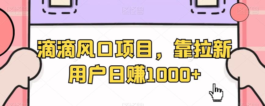 滴滴风口项目，靠拉新用户日赚1000+-皮皮网创