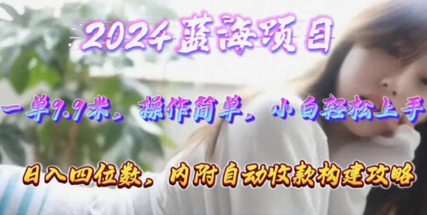 年轻群体的蓝海市场，1单9.9元，操作简单，小白轻松上手，日入四位数-皮皮网创