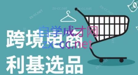 阿甘·2024年跨境电商选品案例(更新)-皮皮网创