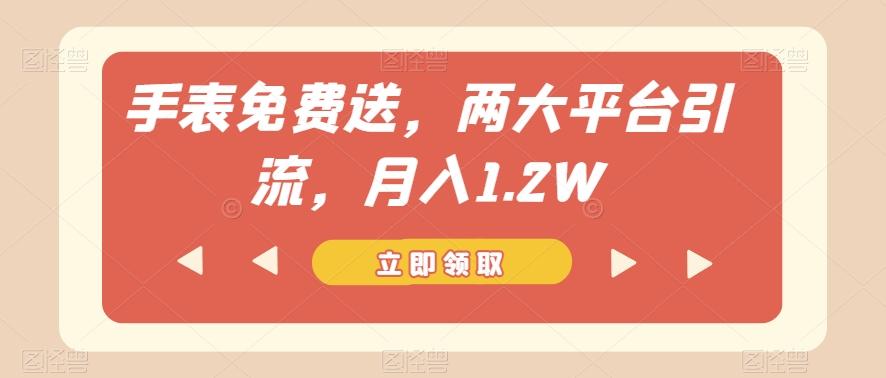 手表免费送，两大平台引流，月入1.2W【揭秘】-皮皮网创