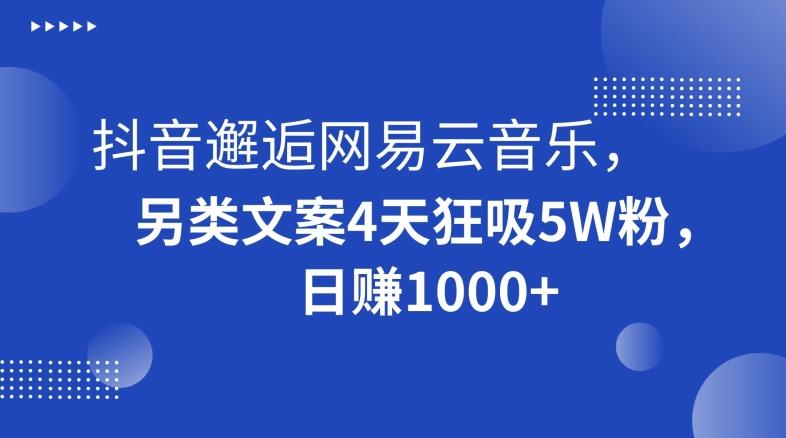 抖音邂逅网易云音乐，另类文案4天狂吸5W粉，日赚1000+【揭秘】-皮皮网创