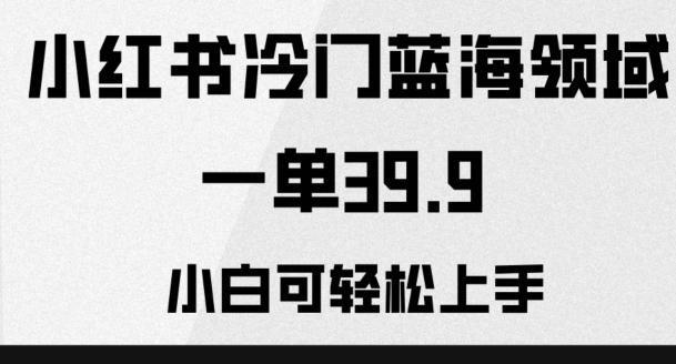 小红书冷门蓝海领域，一单39.9，小白可轻松上手-皮皮网创