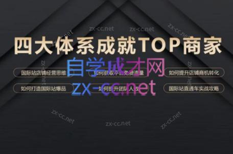 华曜·阿里巴巴国际站认知及直通车实操课程-皮皮网创