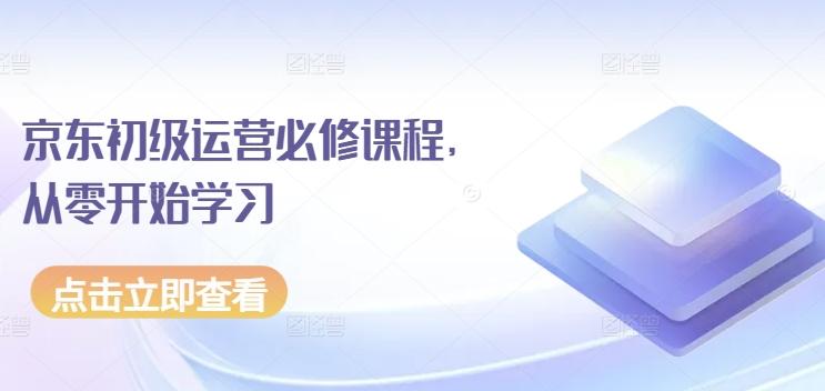 京东初级运营必修课程，从零开始学习-皮皮网创