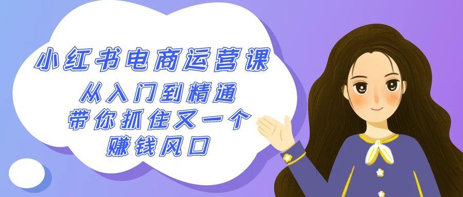 2024小红书电商运营课，从入门到精通，带你抓住又一个赚钱风口(50节课)-皮皮网创
