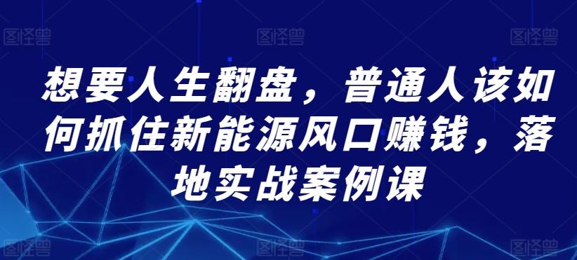 想要人生翻盘，普通人该如何抓住新能源风口赚钱，落地实战案例课-皮皮网创