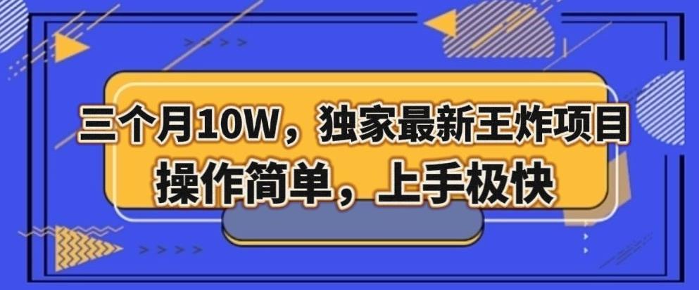 三个月10W，独家最新王炸项目！操作简单，上手极快【揭秘】-皮皮网创