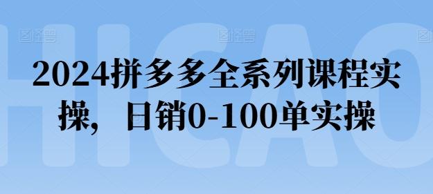 2024拼多多全系列课程实操，日销0-100单实操【必看】-皮皮网创